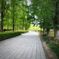 #부산#부산시민공원