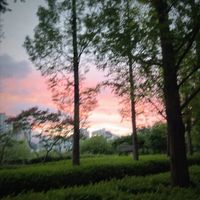 #시민공원#부산시민공원
