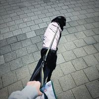 #산책