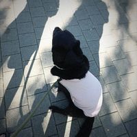 부산시민공원 문화예술촌 갤러리2 즉석사진