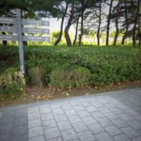 부산시민공원 즉석사진