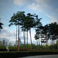 #부산#부산시민공원