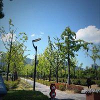 #부산