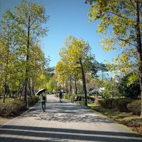 #부산시민공원